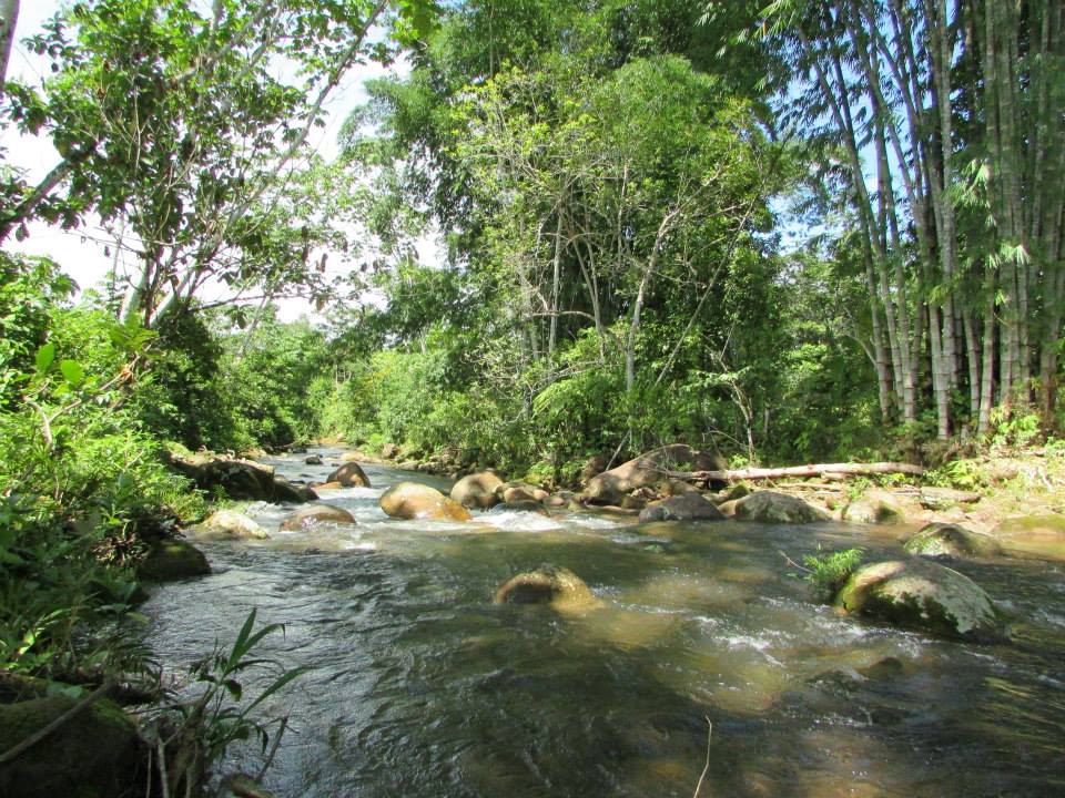 Bosque Protegido Puquio Santa Rosa